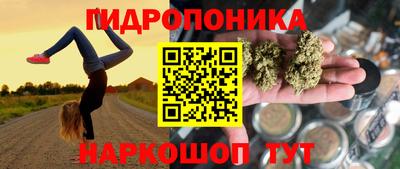 сатива Аргун