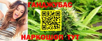 сатива Аргун