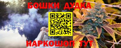 сатива Аргун
