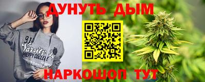 сатива Аргун