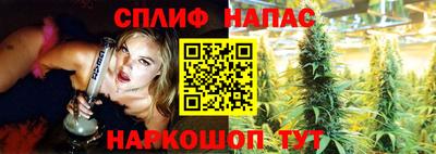 сатива Аргун