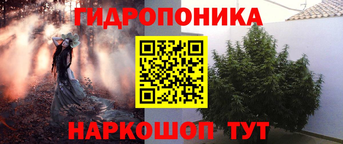 Шишки марихуана сатива Белогорск